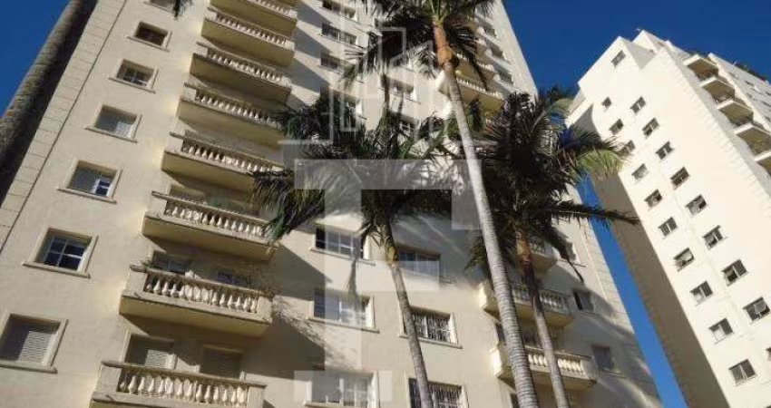 Apartamento com 3 quartos para alugar no Cambuí, Campinas 