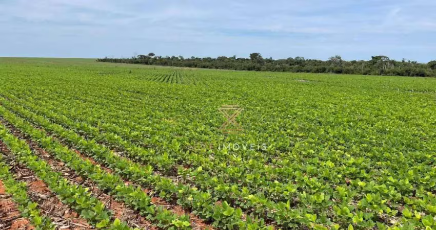 Fazenda à venda, 35800000 m² por r$ 310.000.000,00 - alto teles pires - ipiranga do norte/mt