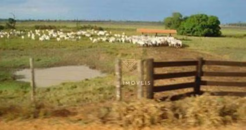 Fazenda à venda no Setor Oeste, São Miguel do Araguaia 