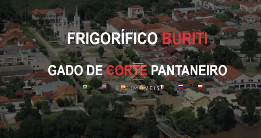 Área à venda, 86000 m² por r$ 100.000.000,00 - setor i - anastácio/ms