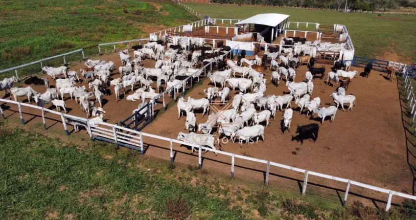 Fazenda à venda, 3799400 m² por r$ 15.700.000 - zona rural - aparecida do taboado/ms