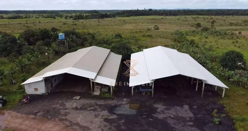 Fazenda à venda, 23420000 m² por r$ 9.000.000,00 - jesus de nazaré - amapá/ap
