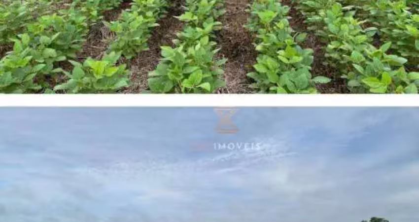 Fazenda à venda, 171250000 m² por r$ 650.000.000 - zona rural - paraíso do tocantins/to