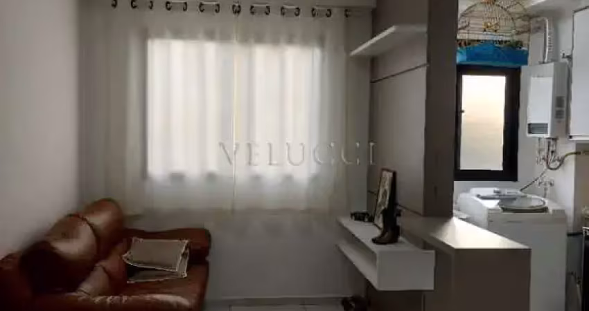 Apartamento de 1 quarto mobiliado proximo a puc campinas para locação