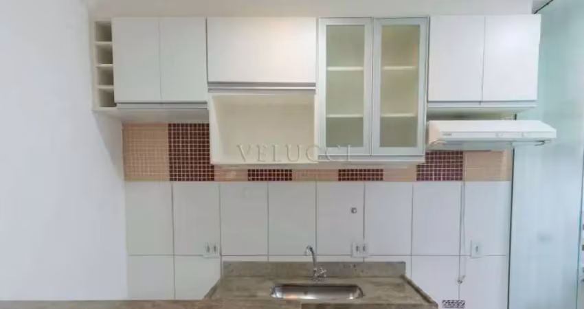 Apartamento à venda 2 quartos jardim marcia em campinas