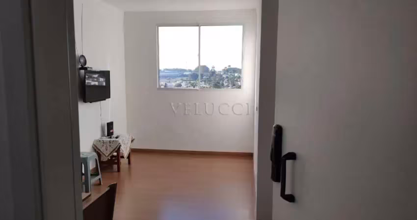 Apartamento à venda com 2 quartos na vila miguel vicente cury em campinas.