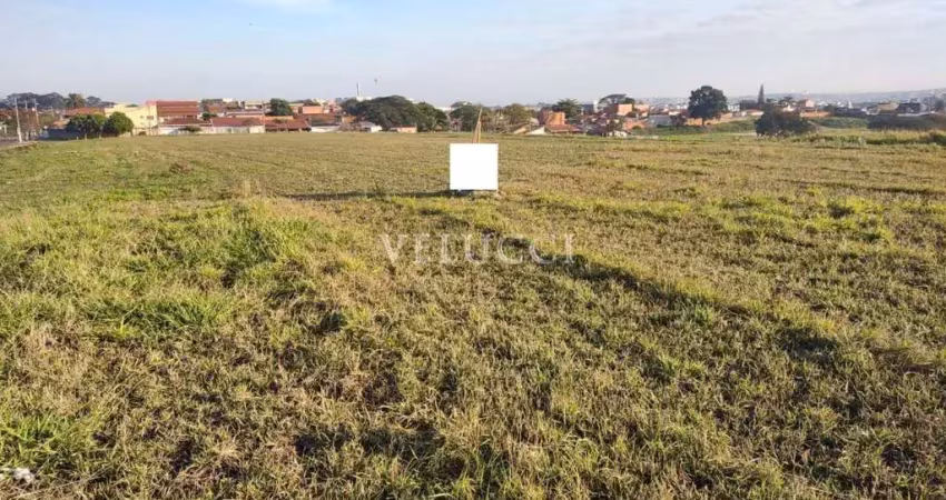 Area a venda no bairro distrito industrial em campinas