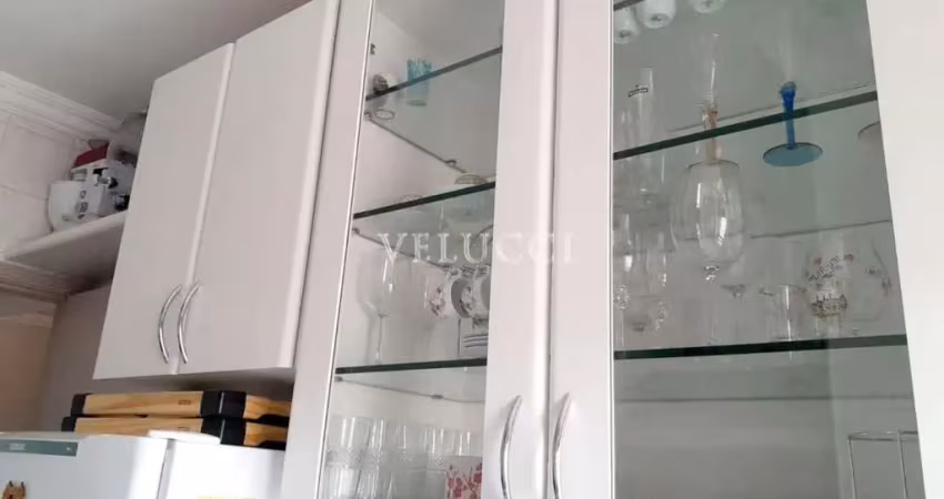 Apartamento com 3 quartos à venda na Rua Sampainho, 441, Cambuí, Campinas