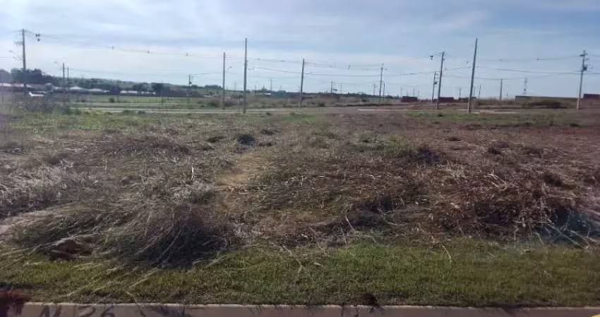 Terreno à venda na vila brasil, cesário lange-sp: 250m² de oportunidade única!