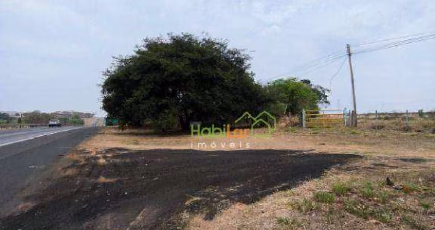 Área à venda, 142810 m² por R$ 12.000.000,00 - Rodovia - Cedral/SP