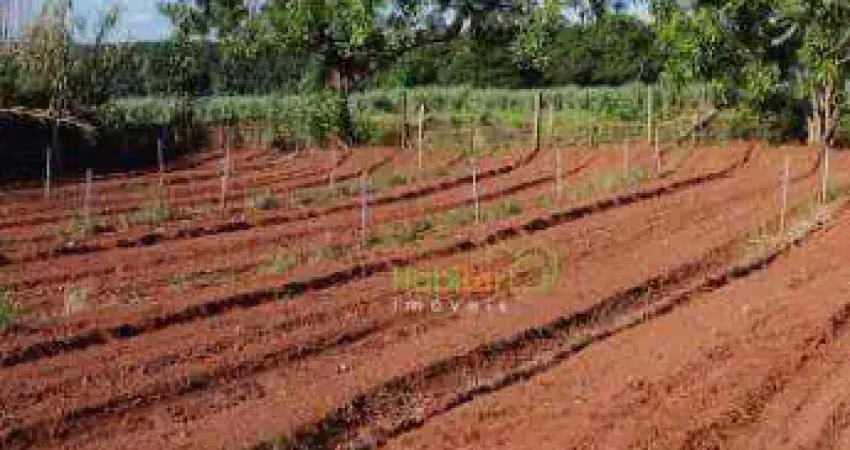 Sítio à venda, 24200 m² por R$ 850.000,00 - Zona Rural - Nova Aliança/SP