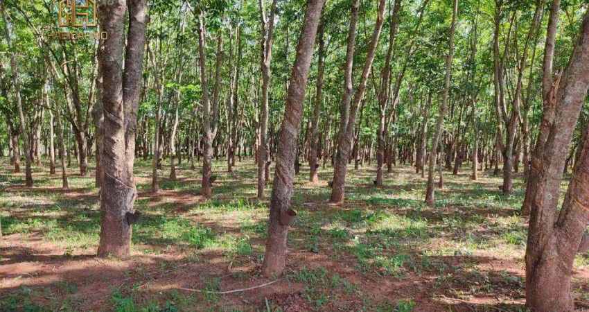 Sítio à venda, 242000 m² por r$ 2.200.000,00 - zona rural - jales/sp