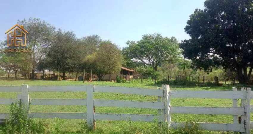 Sítio à venda, 193600 m² por r$ 3.500.000,00 - trevo de bady bassit - bady bassitt/sp