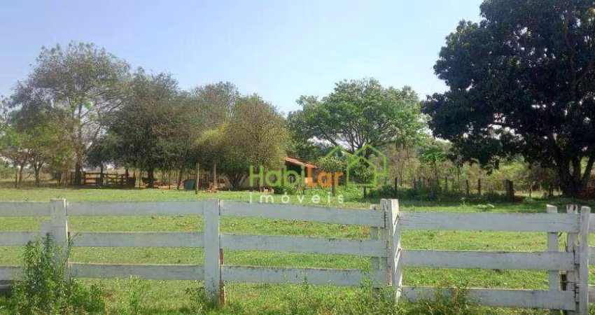 Sítio à venda, 193600 m² por R$ 3.500.000,00 - Trevo de Bady Bassit - Bady Bassitt/SP