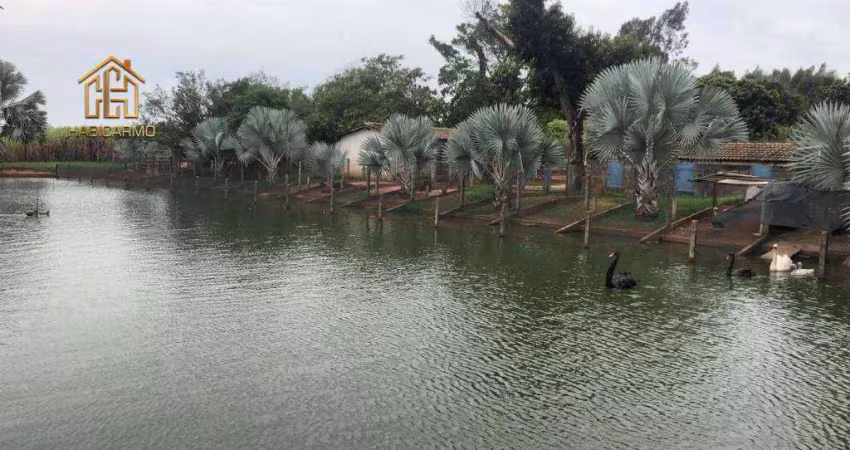 Sítio à venda, 84700 m² por r$ 3.500.000,00 - zona rural - bady bassitt/sp