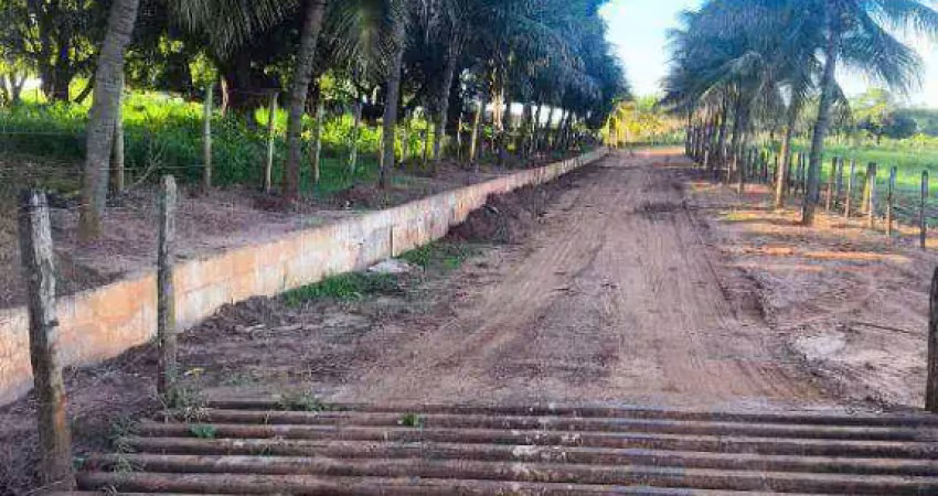 Sítio à venda, 471900 m² por r$ 7.450.000,00 - zona rural - monte aprazível/sp