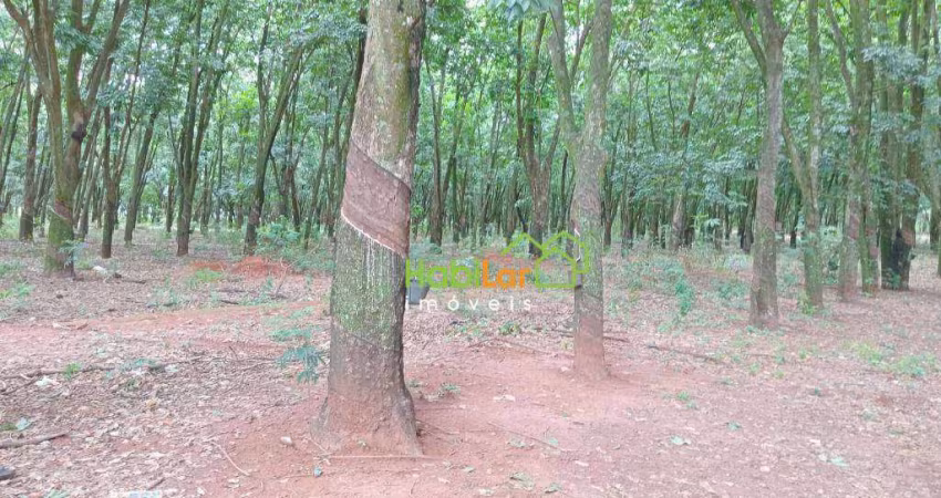 Sítio com 2 dormitórios à venda, 177000 m² por R$ 2.450.000,00 - Zona Rural - Jaci/SP