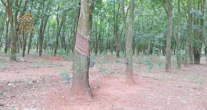 Sítio à venda, 177000 m² por r$ 2.450.000,00 - zona rural - jaci/sp
