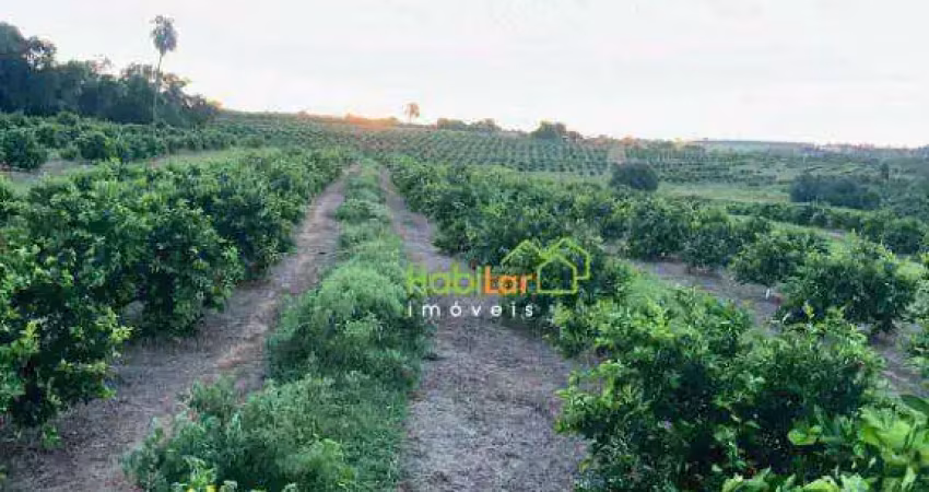 Sítio à venda, 338800 m² por r$ 6.000.000,00 - zona rural - urupês/sp