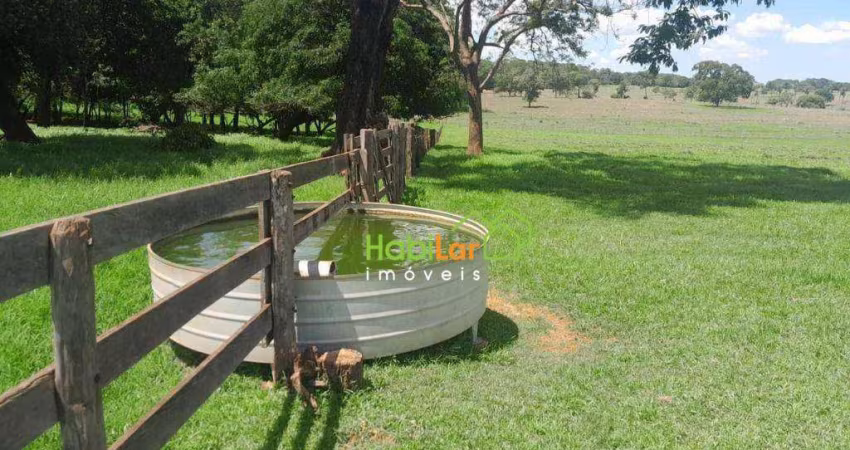 Sítio com 1 dormitório à venda, 399300 m² por R$ 3.250.000 - Santa Fe Do Sul - Santa Fé do Sul/SP