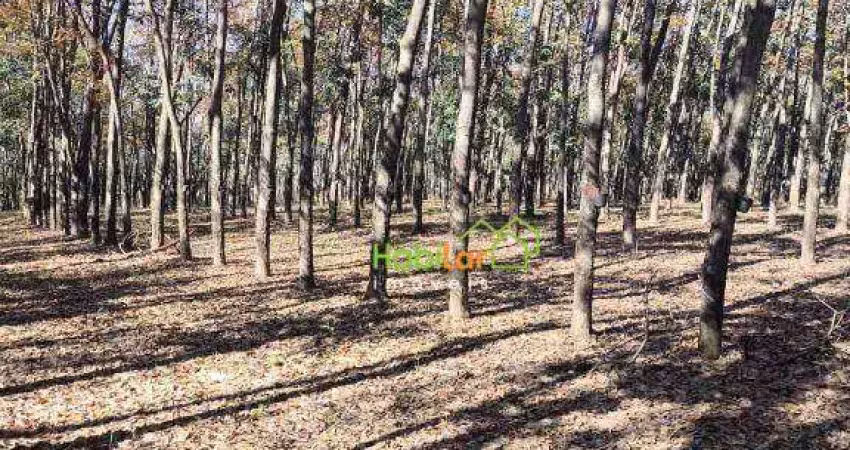 Fazenda com 4 dormitórios à venda, 1815000 m² por r$ 11.880.000,00 - centro - auriflama/sp