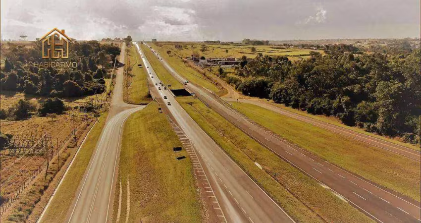 Área à venda, 98600 m² por r$ 17.000.000,00 - engenheiro schmitt - são josé do rio preto/sp