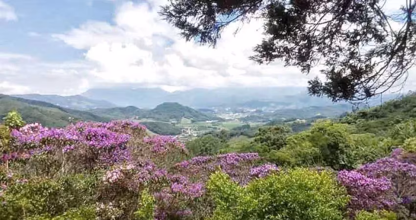 Sítio para venda em santo amaro da imperatriz, varginha, 5 dormitórios, 2 suítes, 6 banheiros, 1 vaga