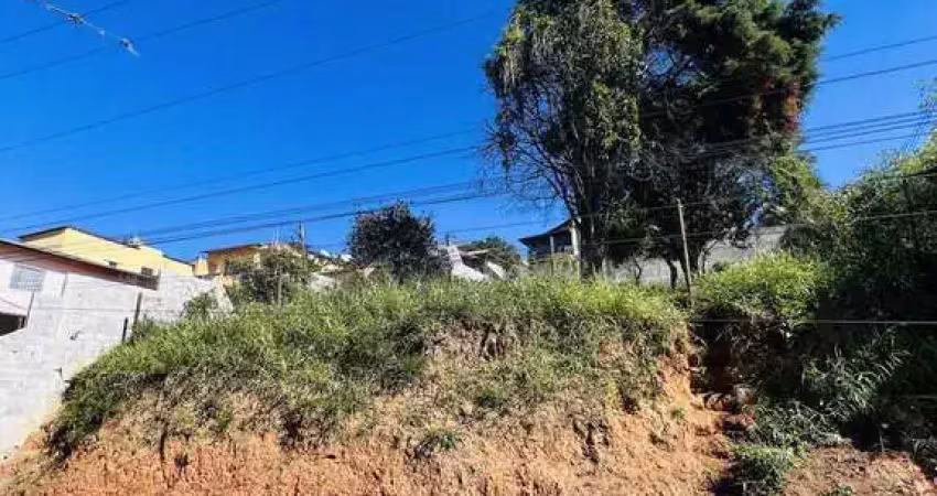 Terreno à venda na Rua Pedro Paulo da Fonseca, Terra Preta, Mairiporã