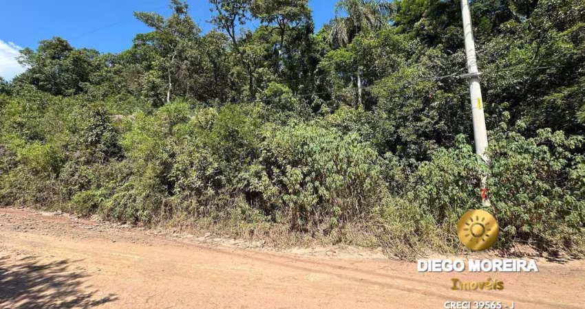 Terreno à Venda em Terra Preta - Oportunidade Única!