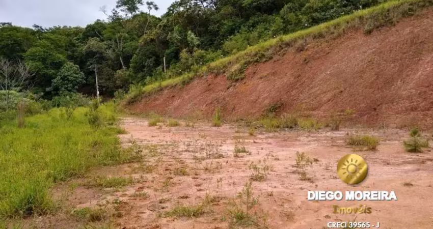 Terreno à venda na Avenida Doutor Sérgio Machado Brauner, Terra Preta, Mairiporã