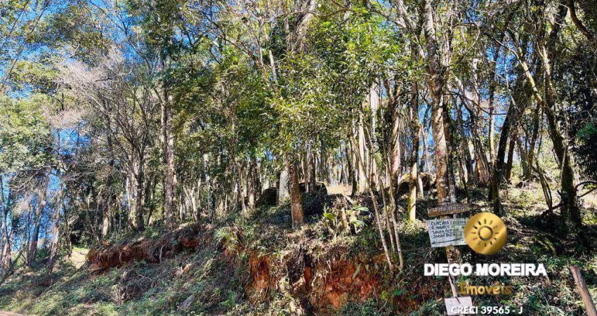 Terreno à venda em Terra Preta  com 1.085 Metros
