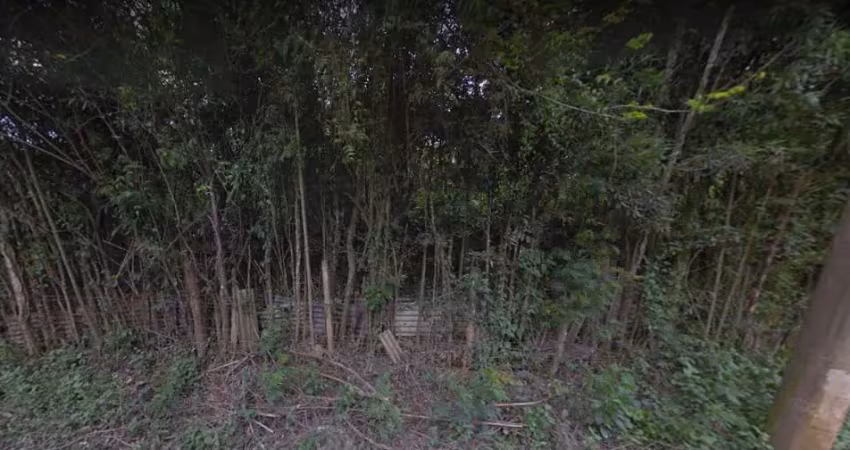 TERRENO DE 156.710m², Ótimo para construtoras que desejam investir em casas populares, ou outros.
