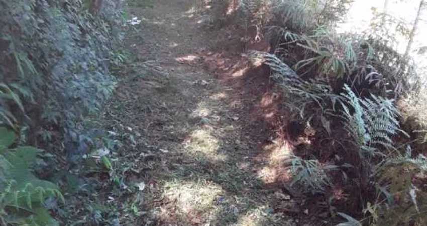Fazenda à venda no Embu Guaçu