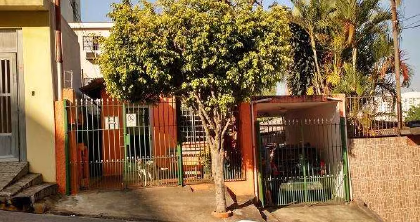 Terreno à venda na Vila Mascote com 350 m²