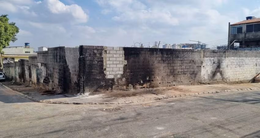 Vendo terreno com 965,00 m2 na Vila Curuça.