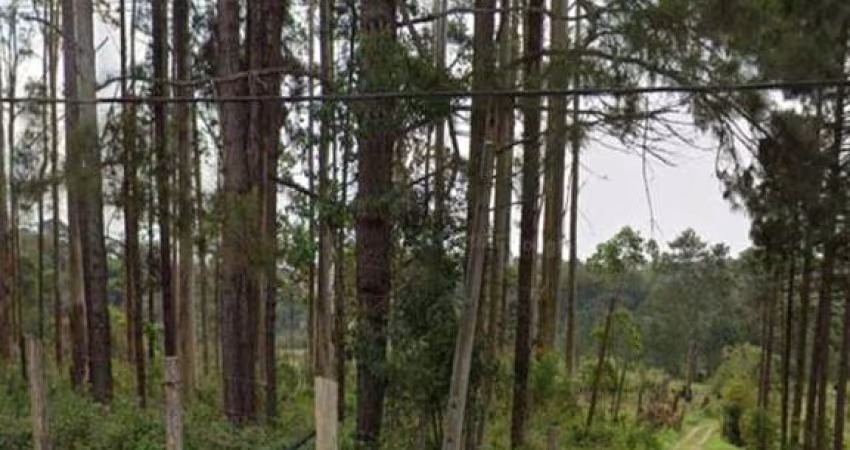 Excelente terreno de 54.330 m² a venda . Embu-Guaçu - SP