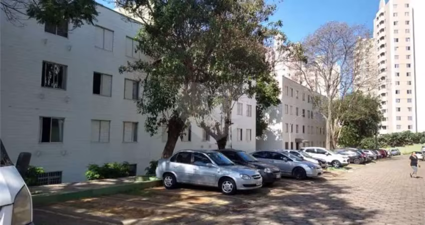 Apartamento à venda no Jardim Jaqueline - SP