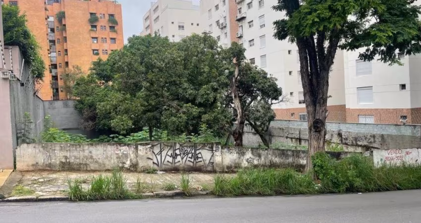 EXCELENTE TERRENO DE 981 METROS NA VILA PROGREDIOR!