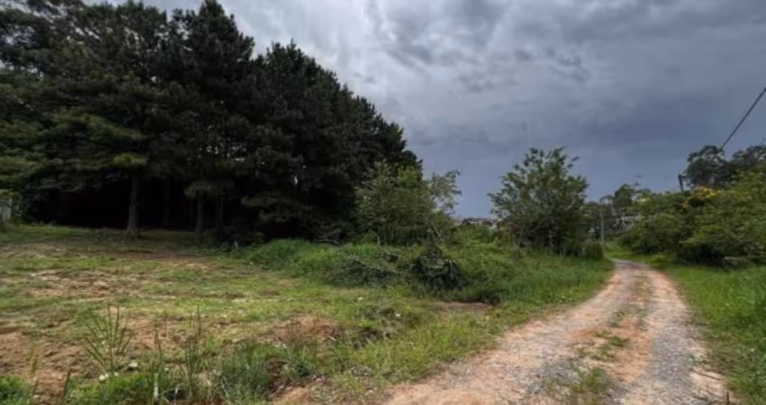LOTE 1.420,00 m², plano e sem árvores grande porte