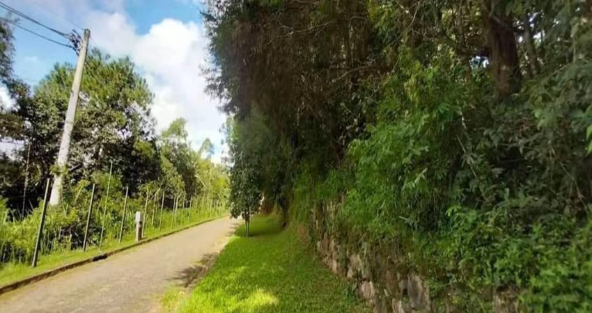 Lote 2.500m²