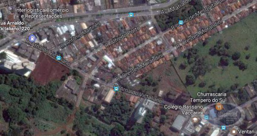Terreno residencial à venda, Jardim Palma Travassos, Ribeirão Preto.