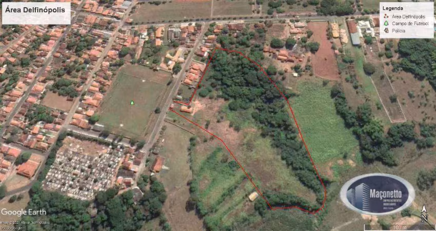 Área à venda, 20000 m² por r$ 650.000,00 - mirante - delfinópolis/mg