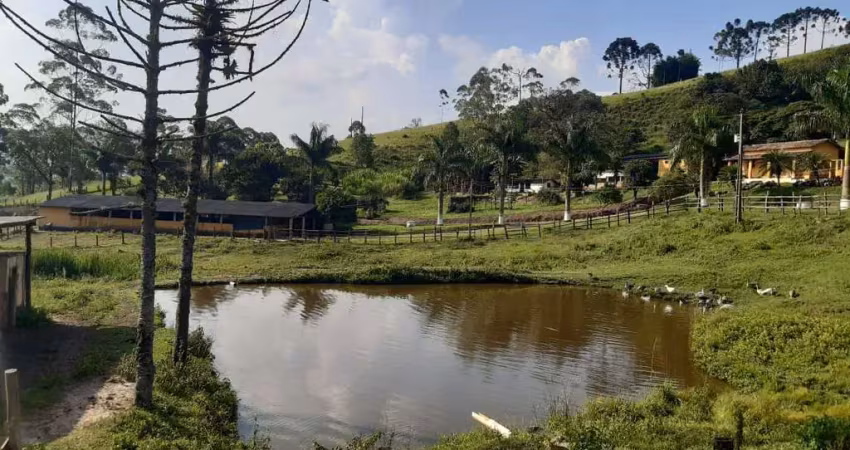 Sitio à venda no bairro do pião em piracaia - sp - local totalmente isolado sem vizinhos! ótima vis