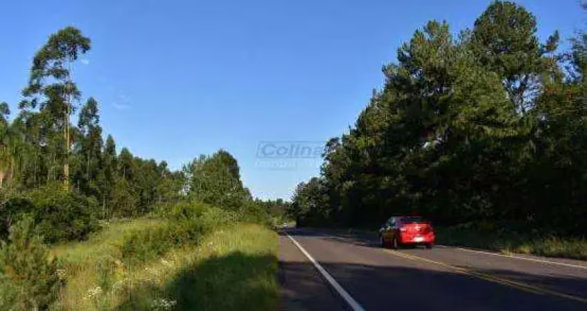 Terreno comercial na ers 124 - rodovia montenegro-br 386