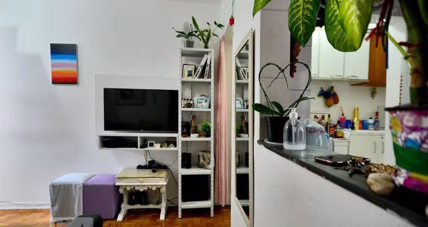 Apartamento à Venda - Bom Retiro, 1 Quarto,  42 m2
