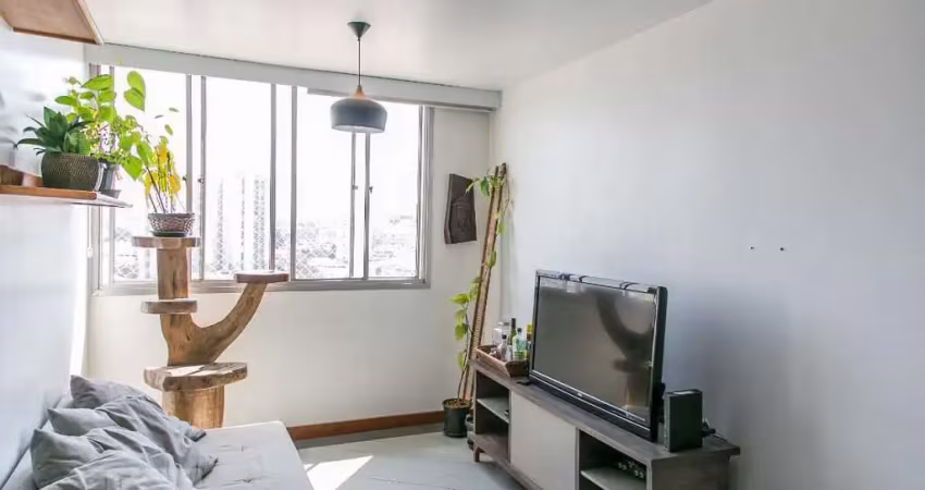 Apartamento à venda - parque novo mundo , 3 quartos,  72 m2