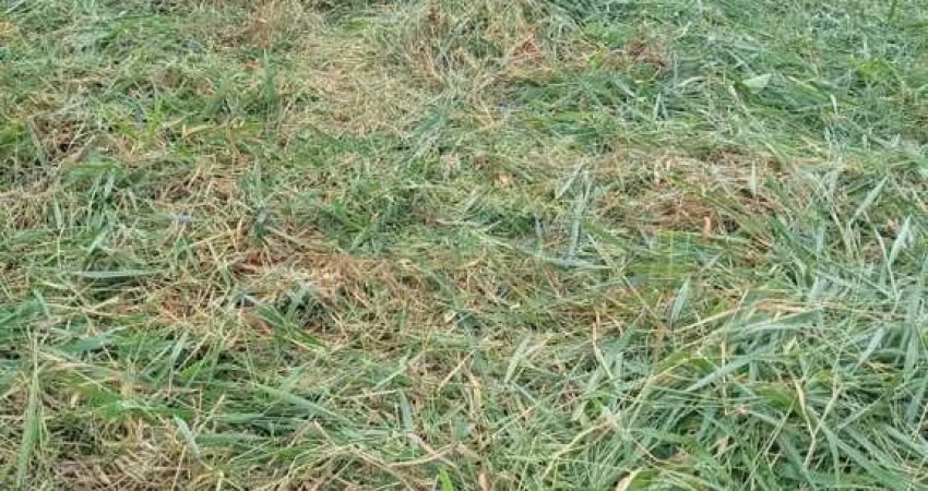 TERRENO PARA LOCAÇÃO NO JARDIM PIAZZA DI ROMA - SOROCABA/SP