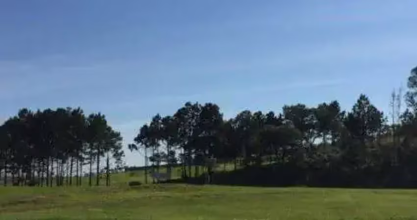 Área para locação no parque tecnológico de sorocaba -sorocaba/sp