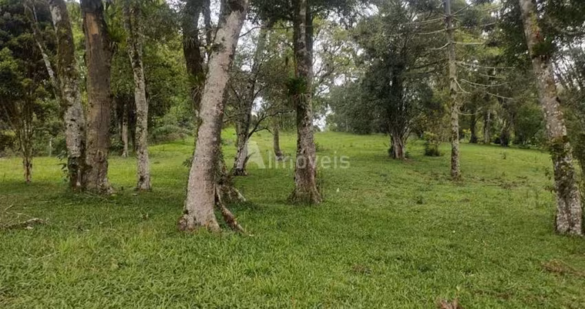 Lote em Campo Alegre Oportunidade