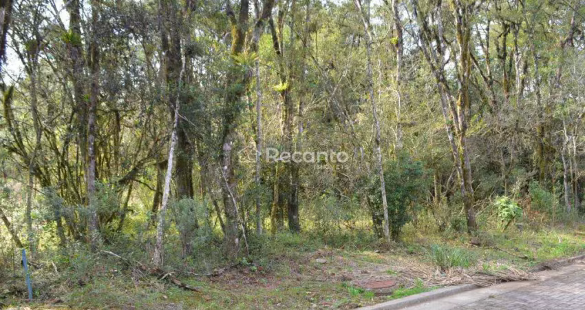 Terreno à venda, 450 m²  - vivendas do arvoredo - gramado/rs